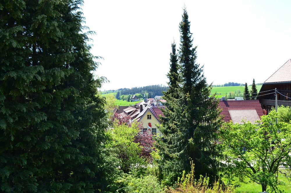 Black Forest Rooms Grafenhausen Dış mekan fotoğraf